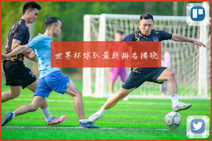 世界杯球队最新排名揭晓